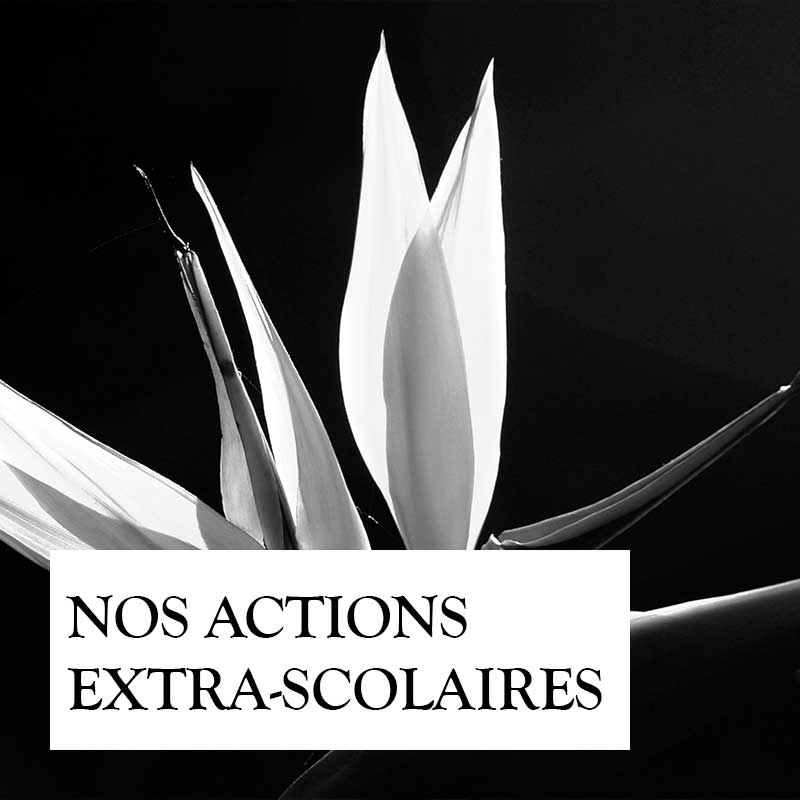 nos-actions-extra-scolaires
