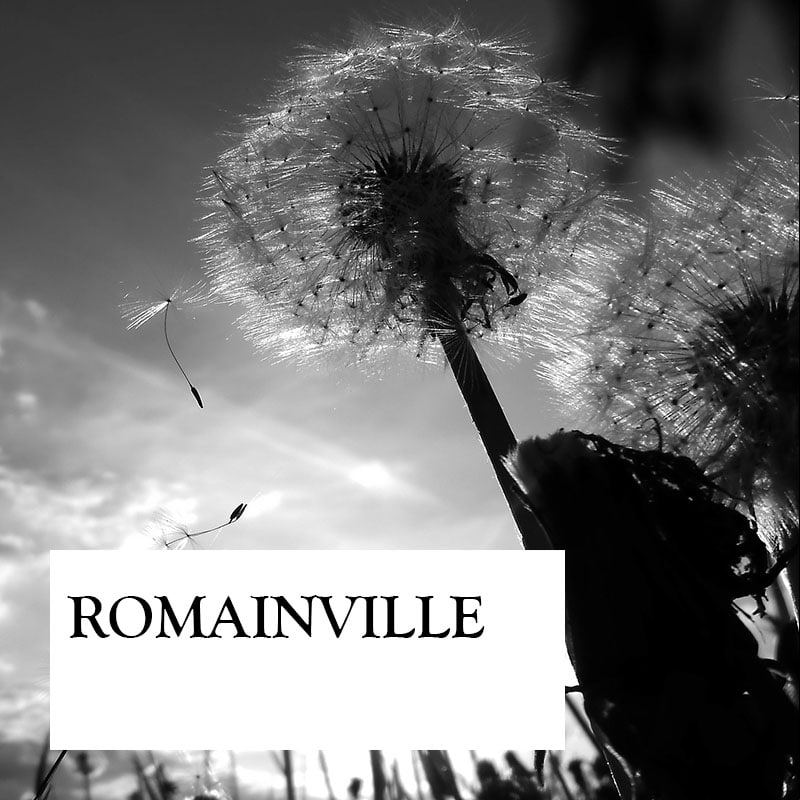 romainville-carre